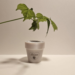 Custom 3D Recycled Pot