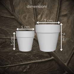 Custom 3D Recycled Pot