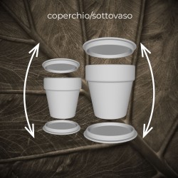 Custom 3D Recycled Pot