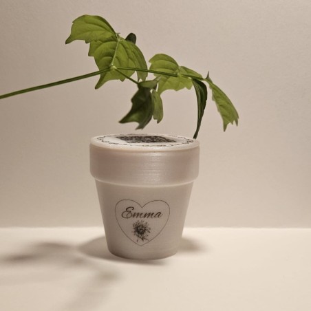 Vasetto 3D Riciclato Personalizzabile con il tuo Design